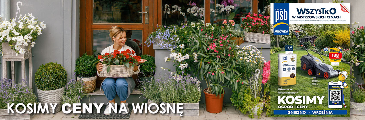 zdjęcie na stronie głównej